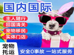 济南遥墙机场快递国际宠物托运 【国